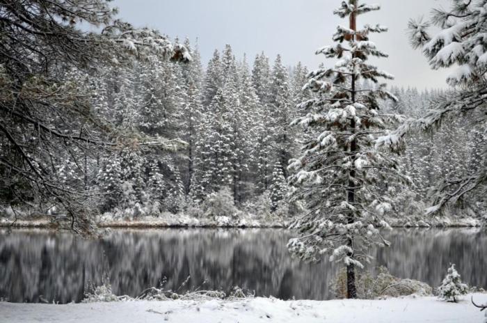 Вилла Bearvista Арнолд Экстерьер фото